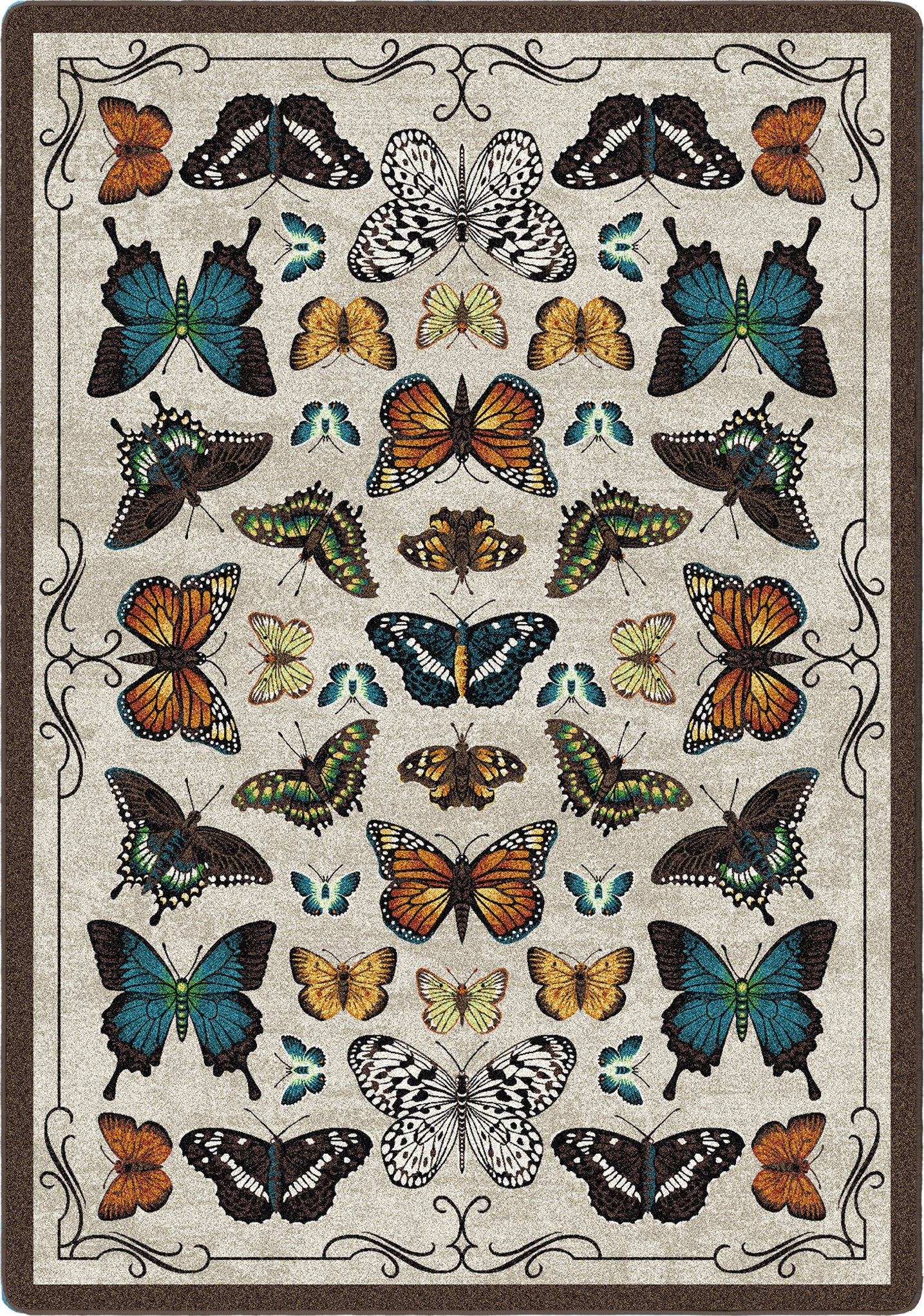 a rug with butterflies arranged like a vintage curiosity display