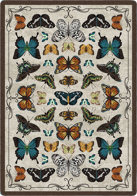 a rug with butterflies arranged like a vintage curiosity display