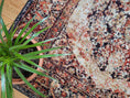 Load image into Gallery viewer, The Ravencourt Rug styled with a potted plant, contrasting natural greenery with its vintage, romantic palette.