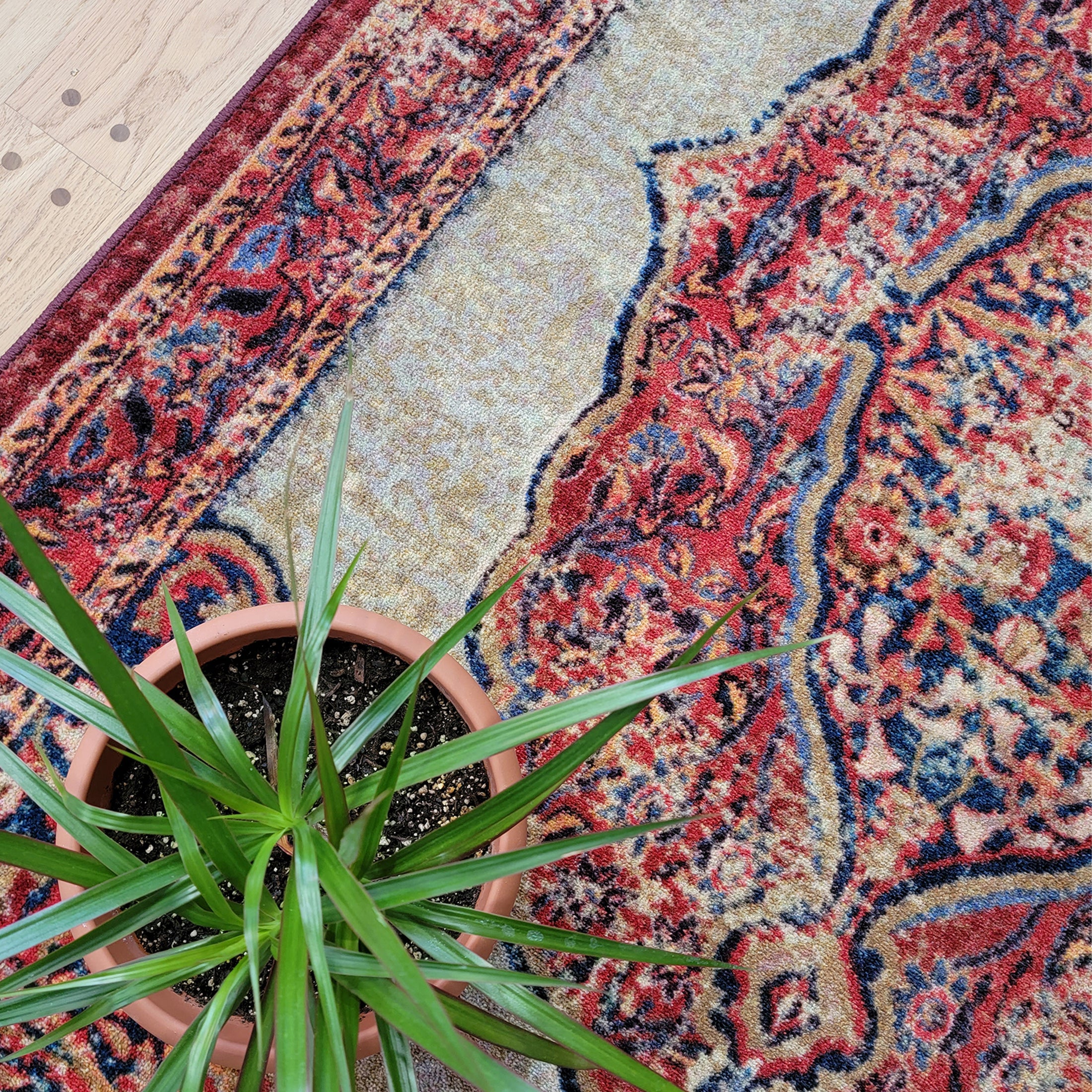 The Oathforged Rug styled with a leafy potted plant resting on top, adding natural contrast to its regal patterning