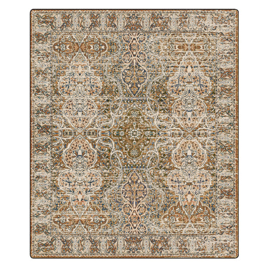 Patterned rug with intricate design on a white background